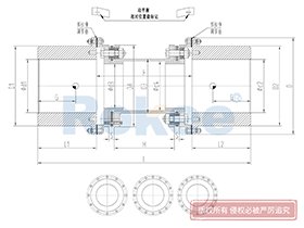RLQF Diaphragm Coupling,Plate Couplings Function