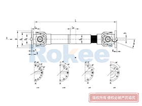 SWC-BH Universal Coupling,Universal Couplings Function