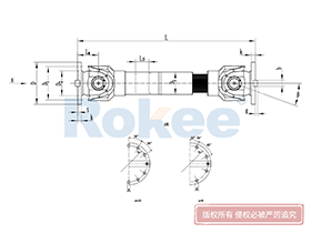SWC-DH Universal Coupling,Universal Couplings Function
