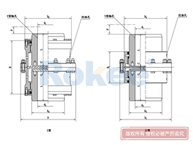 WGC Drum Gear Coupling,Teeth Couplings Function