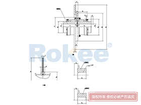 WGP Drum Gear Coupling,Teeth Couplings Function